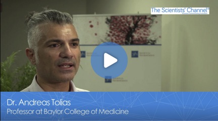 andreas tolias neural networks