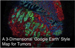 cancer maps like google earth