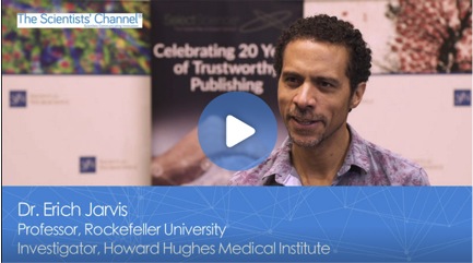 erich jarvis language in the brain